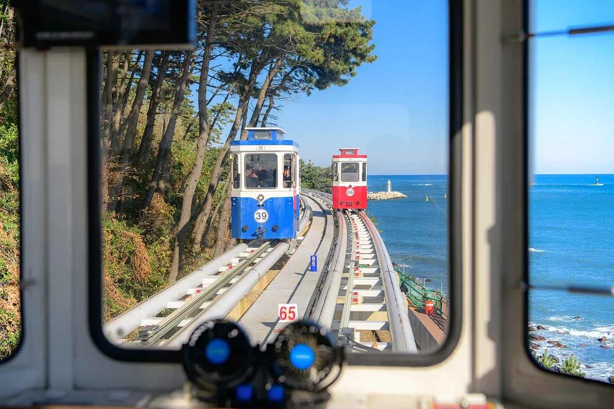 서울에서 아침에 출발, 밤에 돌아오는 부산 벚꽃 투어! 새벽 KTX-이음 타고 떠나볼까?