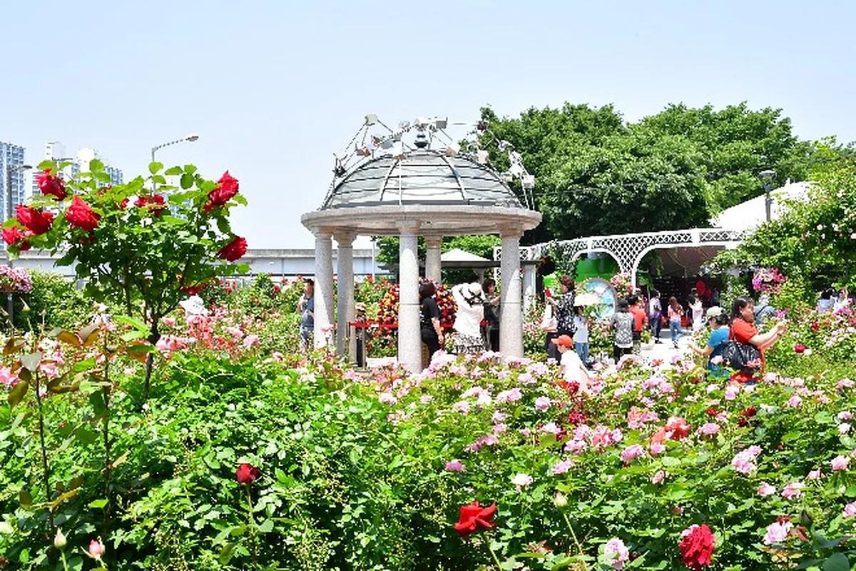 장미로 물드는 서울, 축제도 즐기고 나만의 작품도 만들어보세요