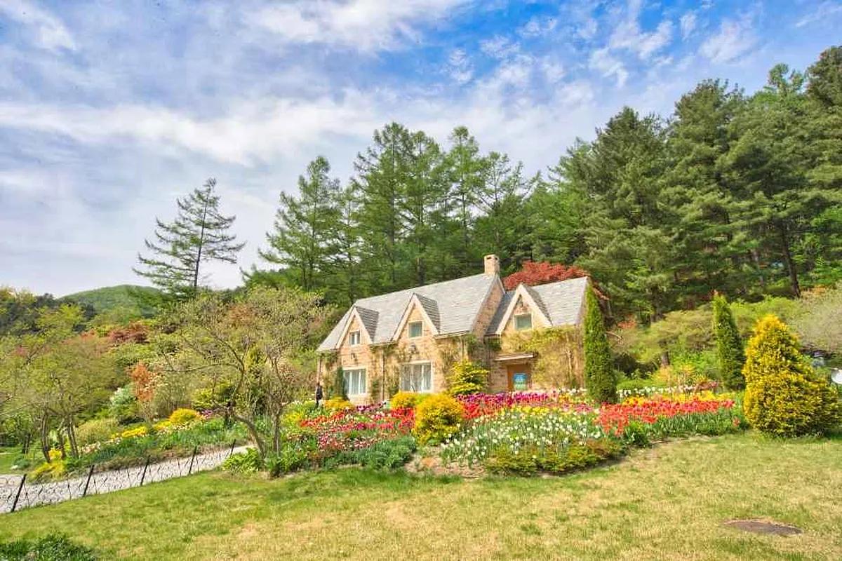 매년 이 계절만 기다려! 국내 봄 수목원 BEST 4