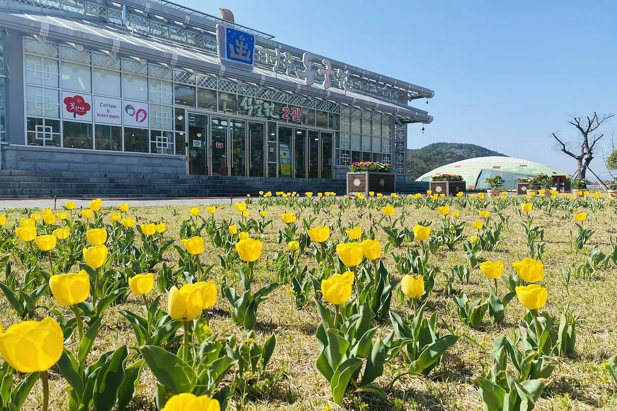“꽃피는 식물원 테이블 예약, 신라의 정원으로 떠나는 봄 나들이”