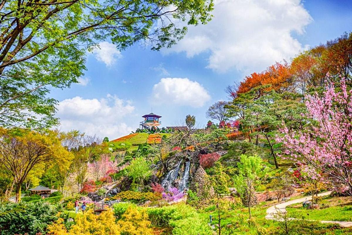 매화부터 철쭉까지, 화사한 베어트리파크 봄꽃 축제