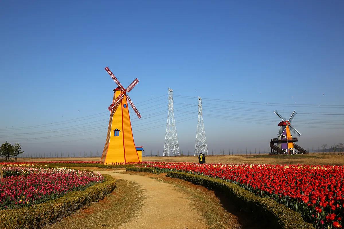 봄바람 타고 떠나는 수도권 당일치기, 후회 없는 3곳