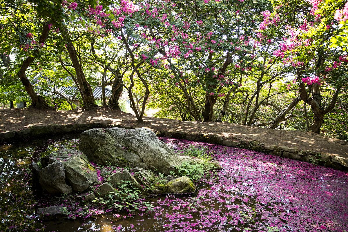 봄바람 따라 만나는 우아한 목련 여행지 4곳