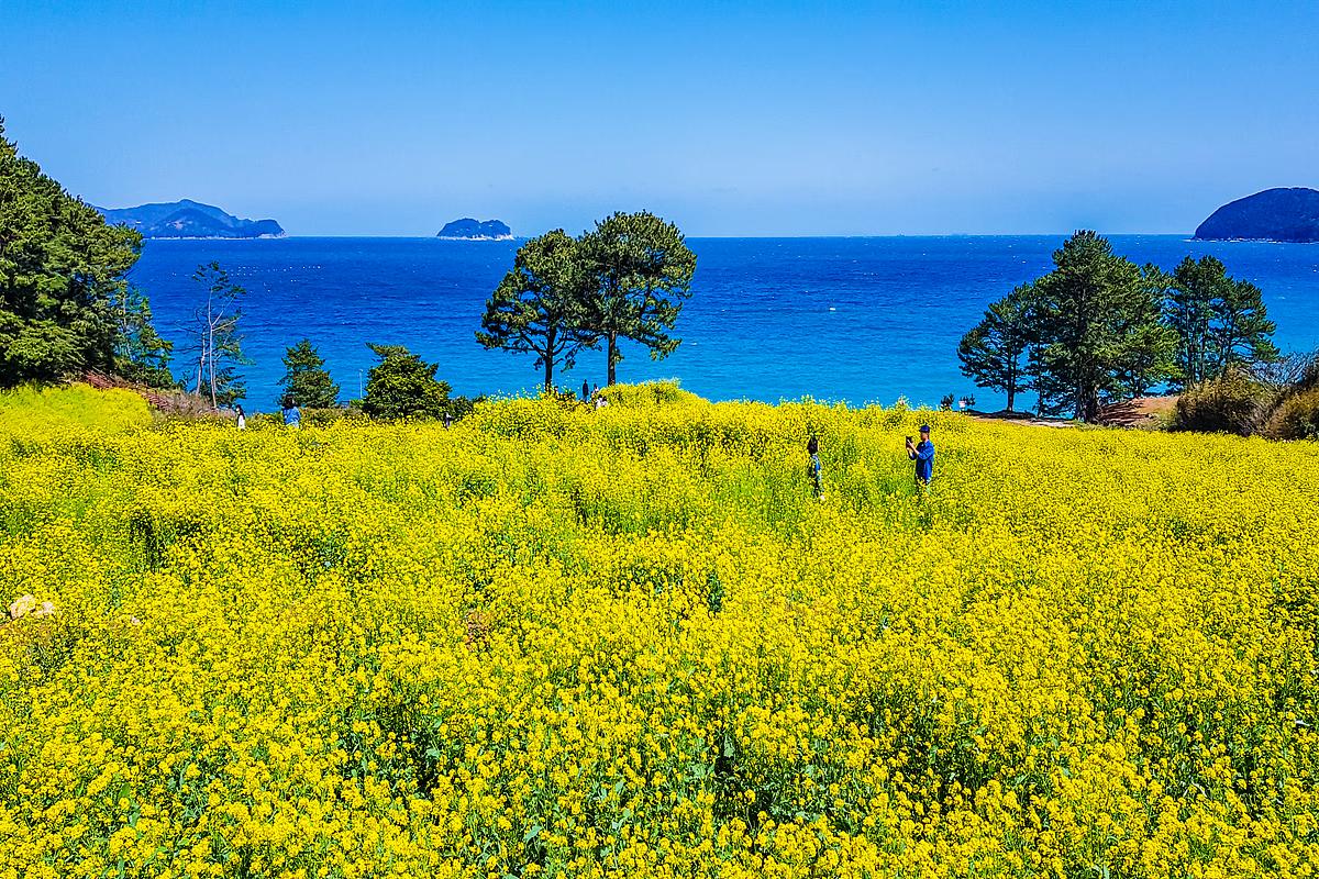 국내 봄캉스 1박 2일 여행지 Best 3