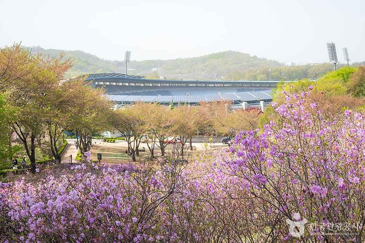 4월, 부천 원미산 진달래동산이 부른다