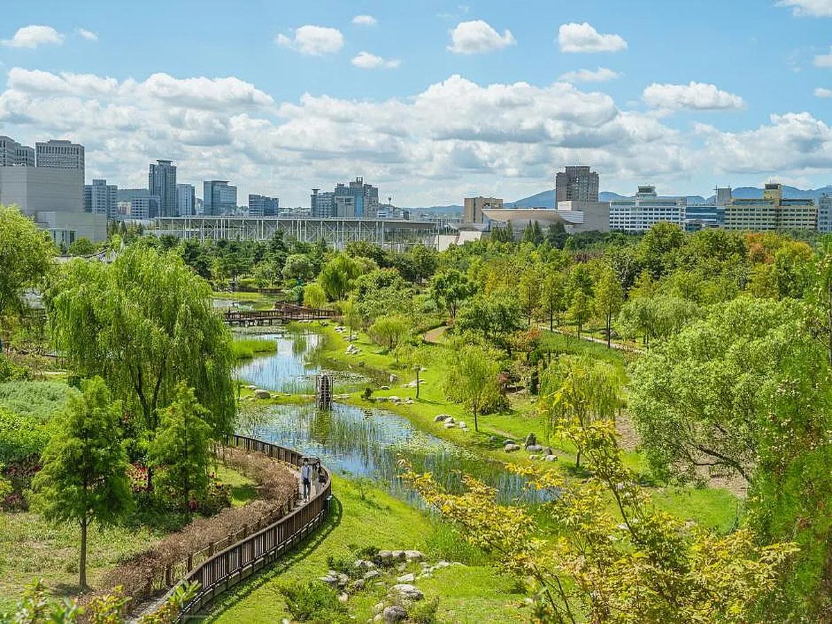 2025 대전시티투어, 지금 가장 감성 넘치는 여행 루트!