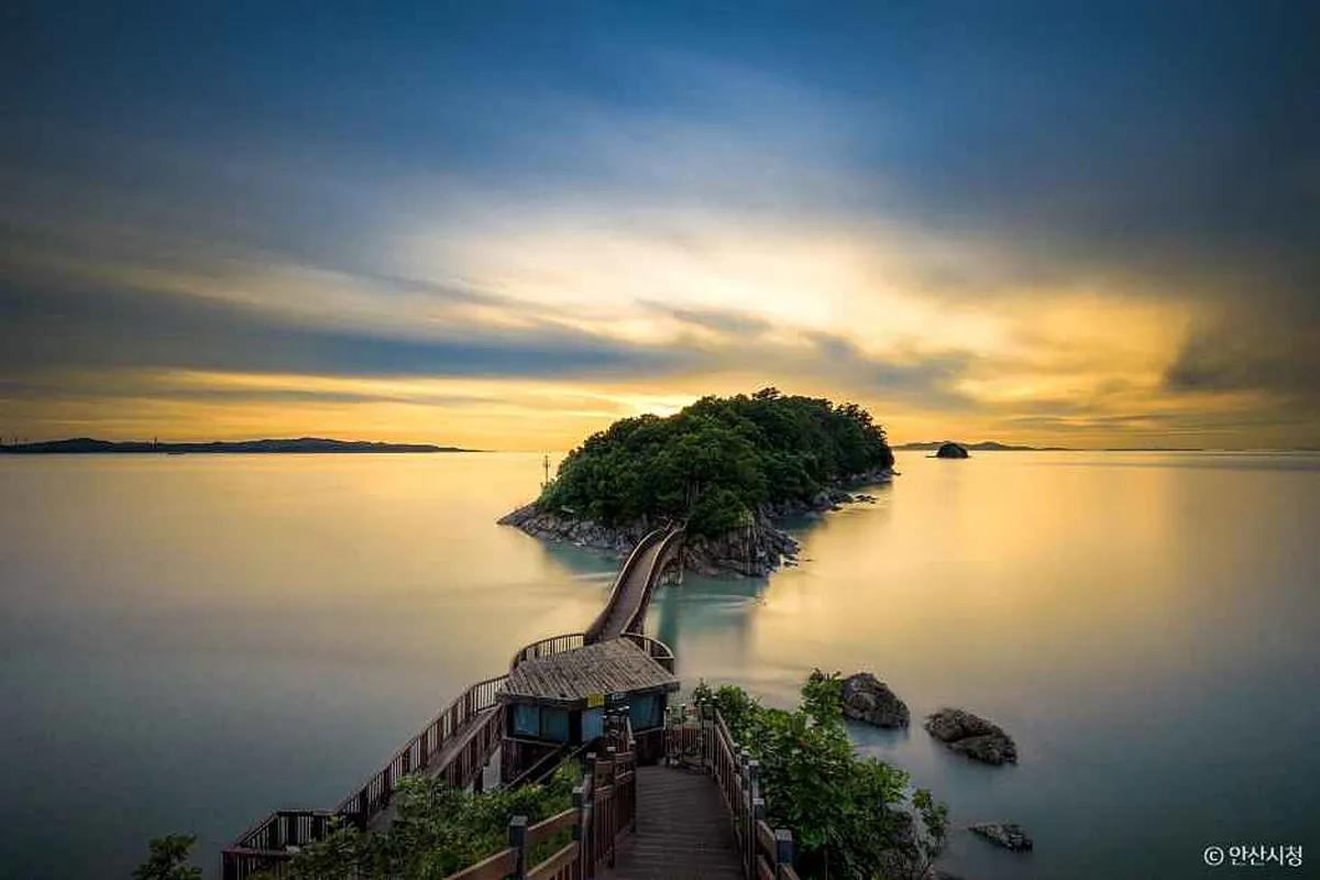 “서울서 30분, 단돈 6천 원! 주말마다 매진되는 알짜 당일치기 여행”