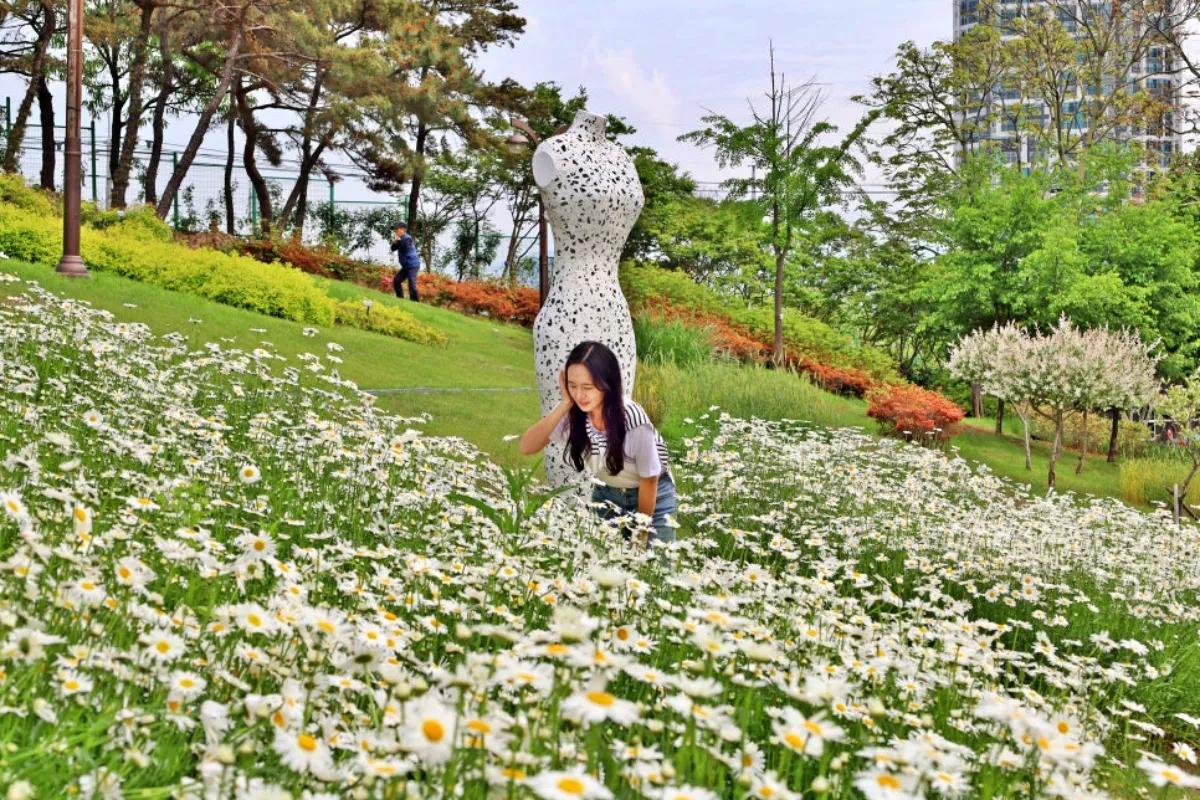 “5월이면 피는 데이지꽃”… 대구 가볼만한 곳 이현공원