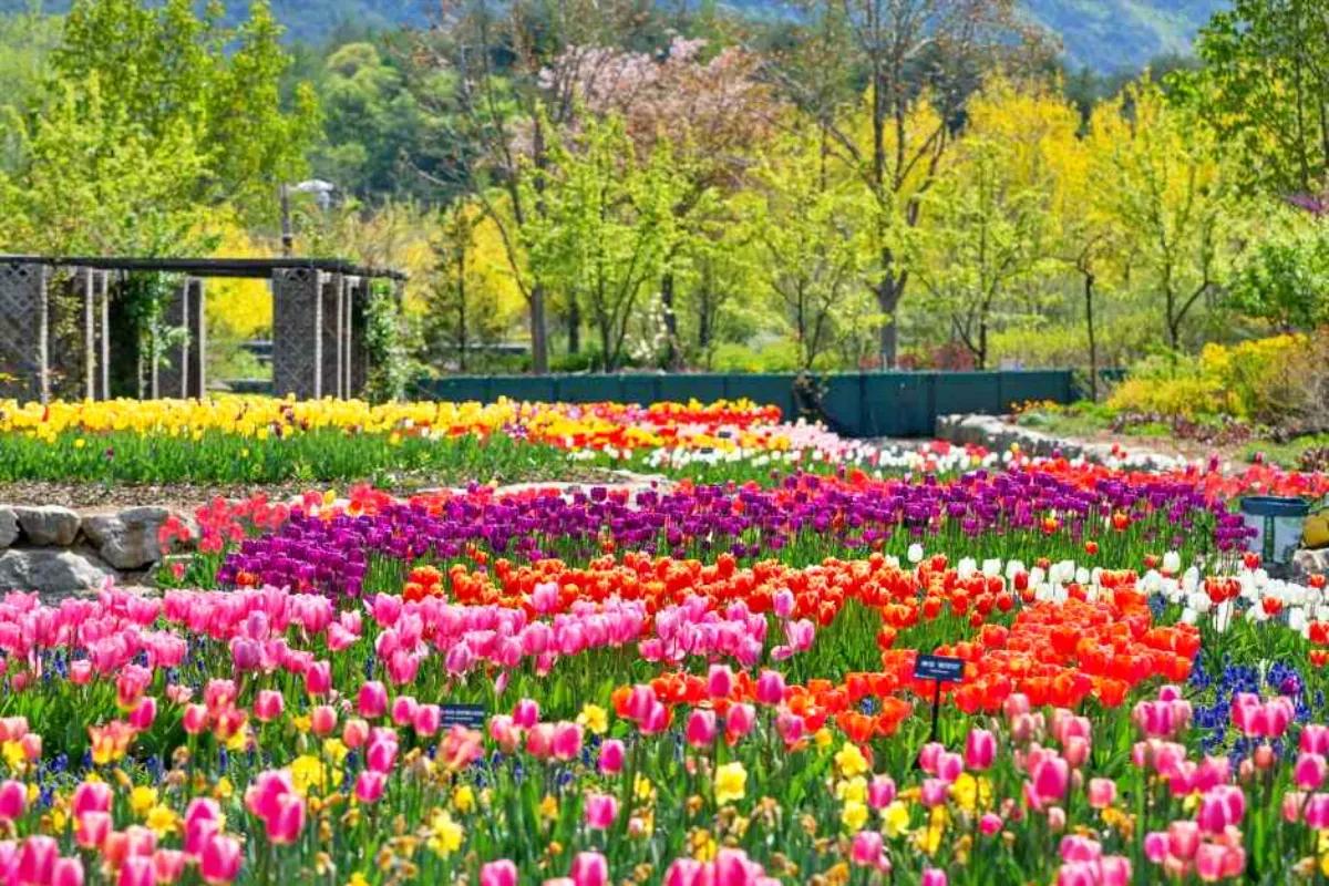 “5월 황금연휴 어디갈까”… 수목원 3곳 가족 나들이 코스