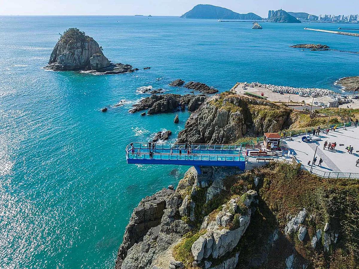 혼자여서 더 좋은 부산 봄꽃 코스 BEST 4, 바다 풍경까지 한 번에!