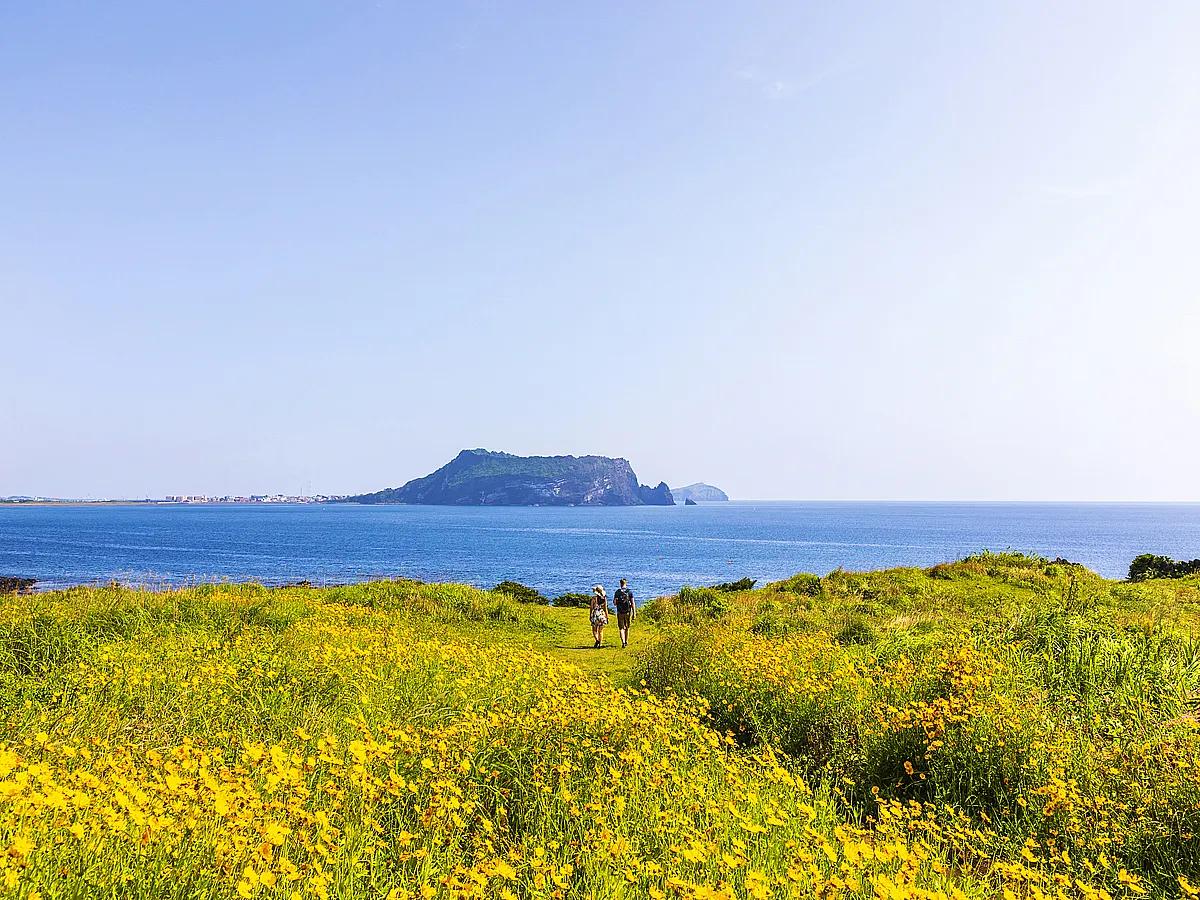 제주부터 안동까지, ‘폭싹 속았수다’ 명장면 성지순례 BEST 7