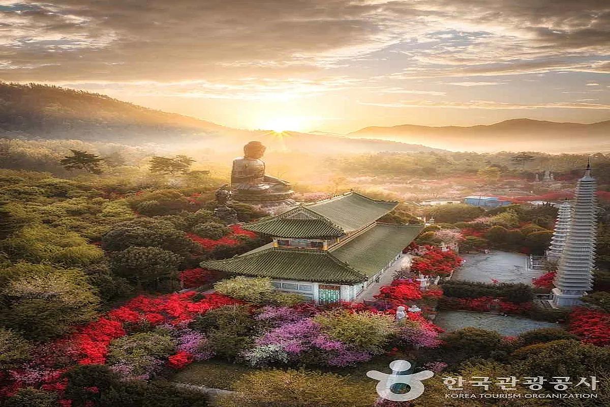 282만 명이 찾은 ‘강진 반값여행’… 왜 이렇게 인기일까?