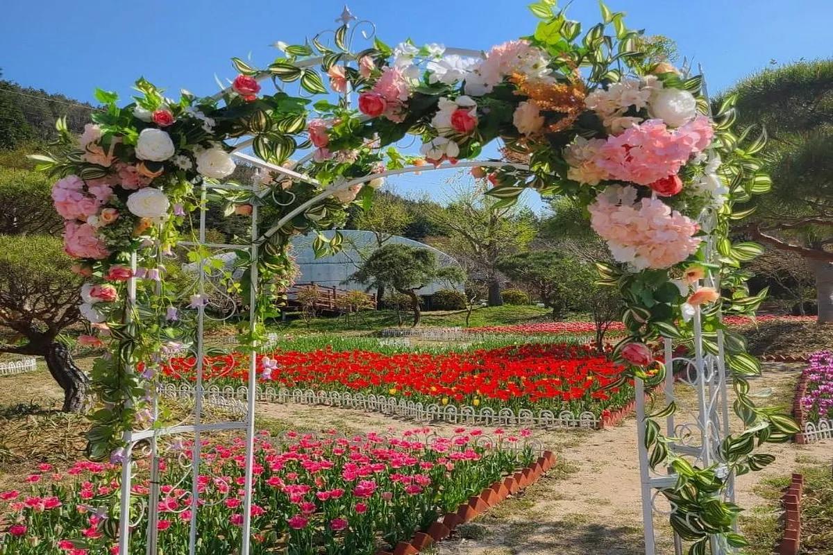 3만 평 정원에 핀 형형색색 튤립…장흥 하늘빛수목정원 봄꽃 여행지로 인기