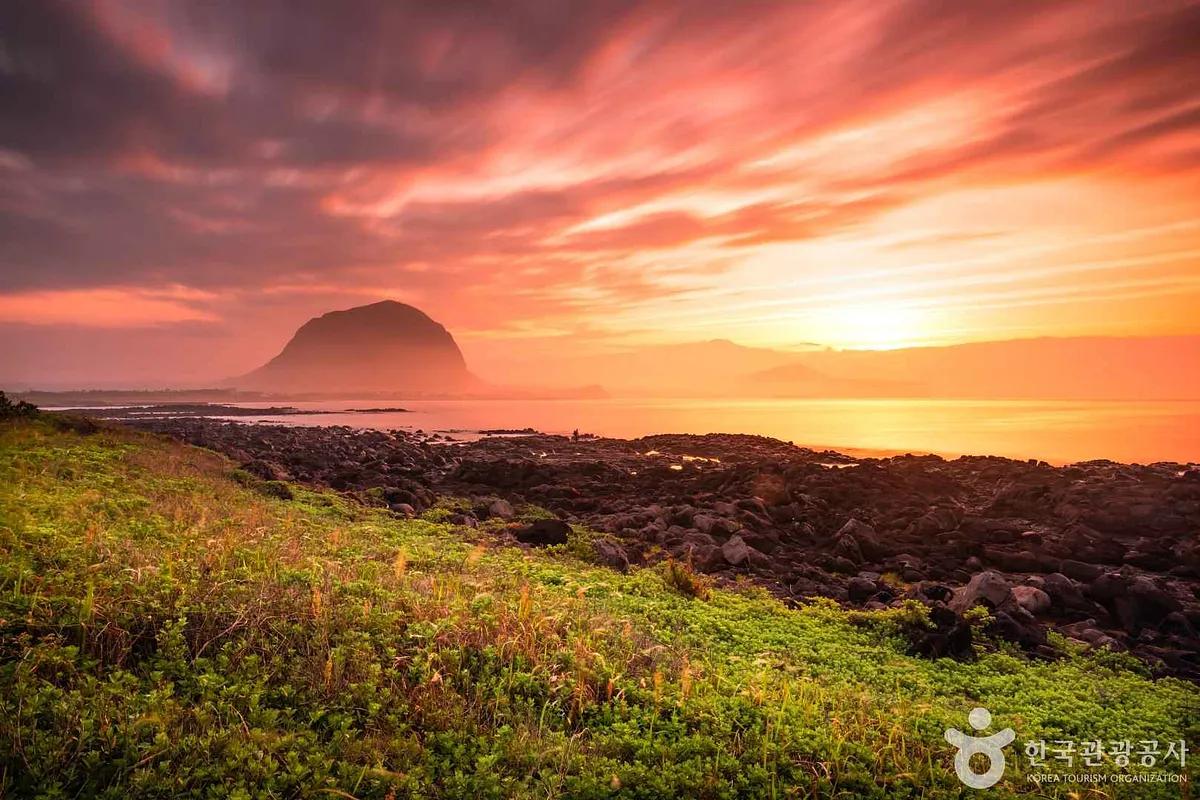 “말은 많지만, 봄이면 결국 제주! 국내 여행객들이 택한 1위 여행지”
