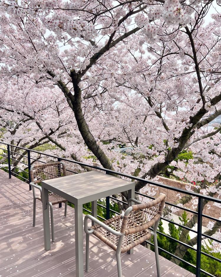 현지인 추천! 인천에서만 만날 수 있는 봄꽃 명소 베스트 7