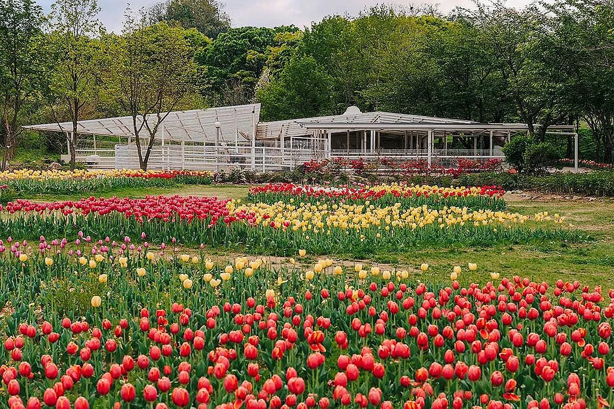 아산 피나클랜드, 막 찍어도 인생샷! 봄 추천 여행지 베스트
