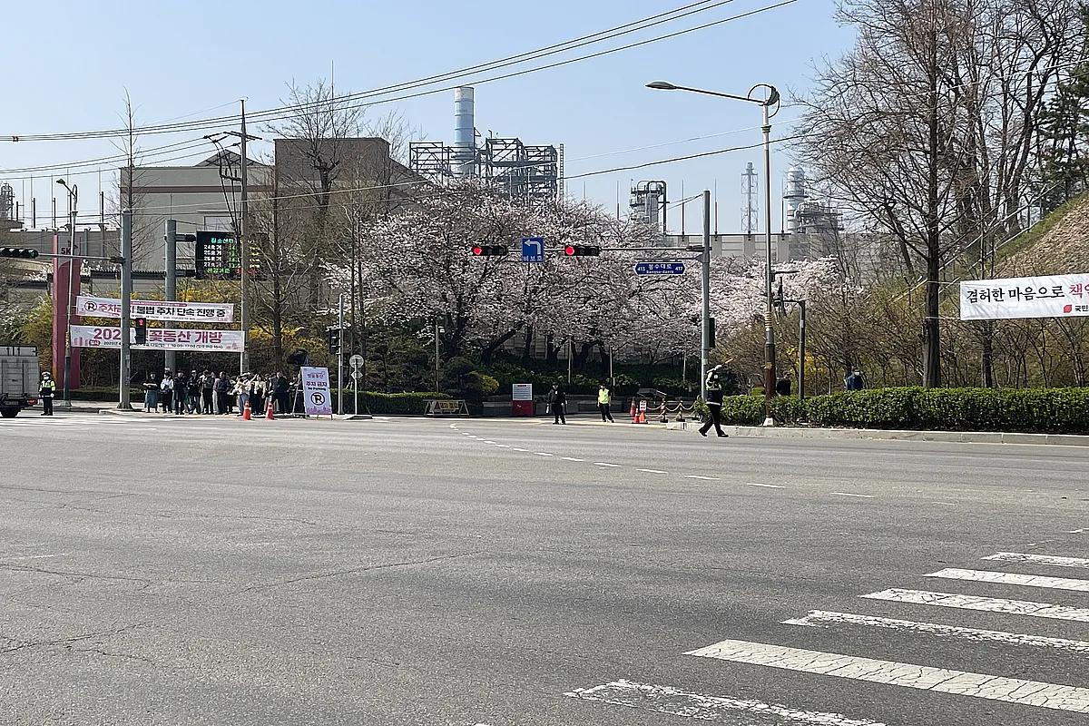 SK인천석유화학 벚꽃동산 실시간 개화시기