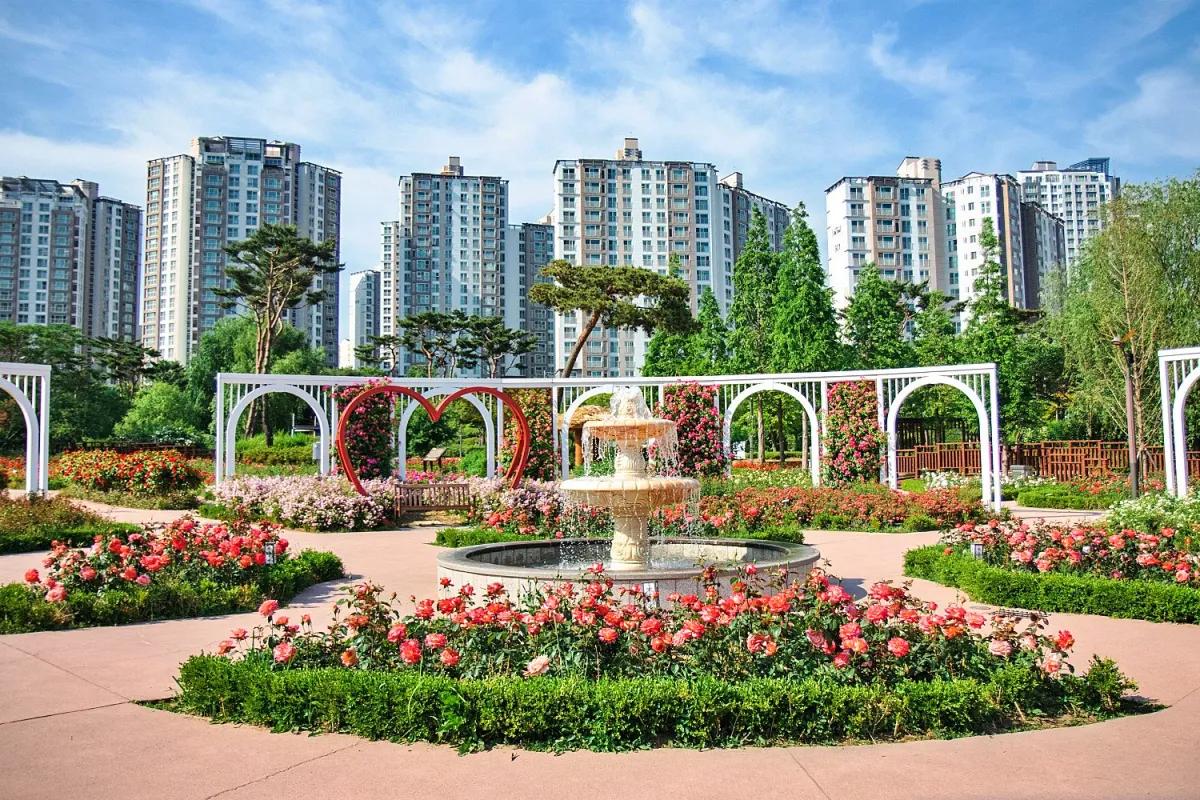 “이런 장미 정원 처음이야”… 오산 장미빛 축제 한적한 힐링 명소