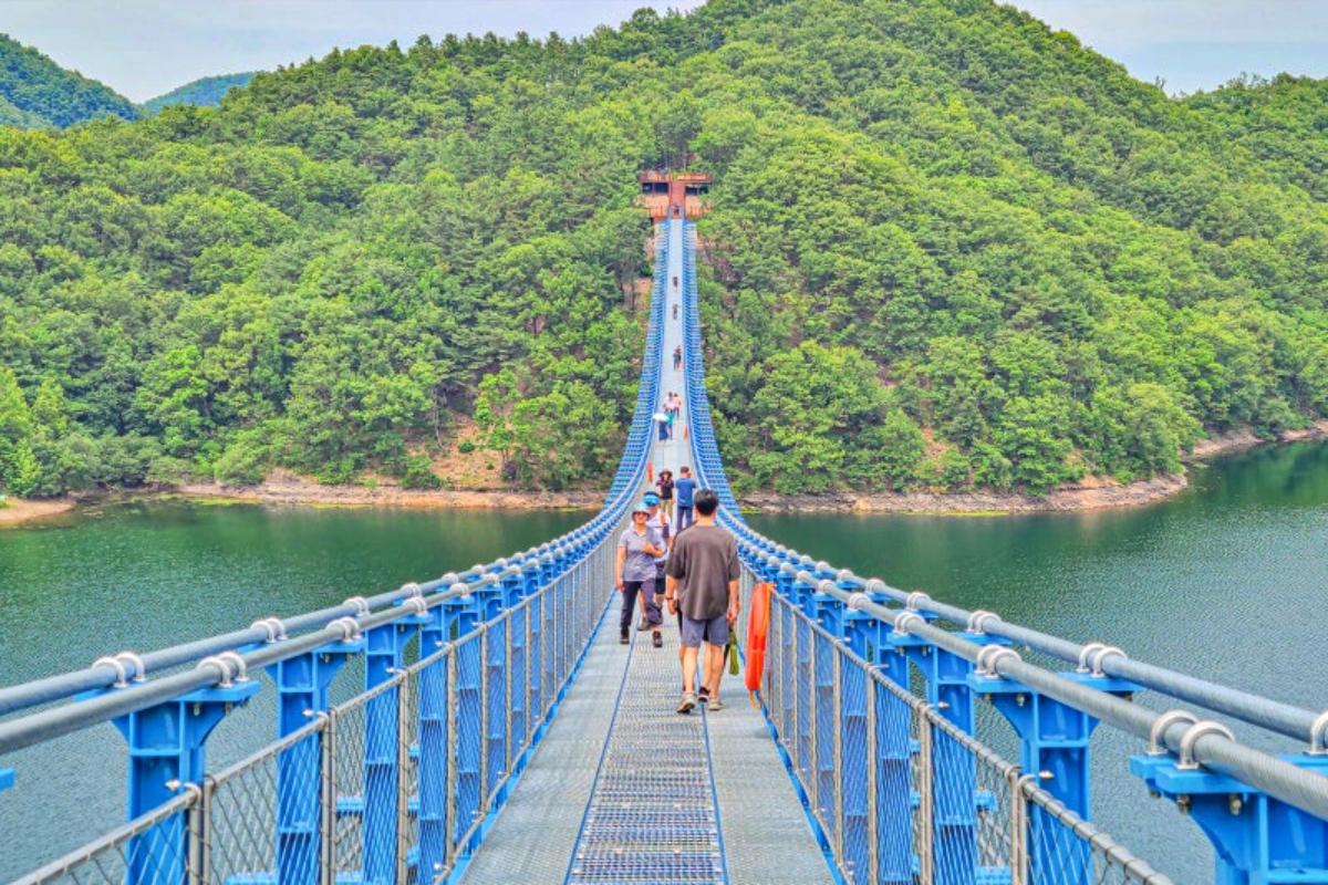 “309m 무주탑 위 걷는 힐링”… 진천 초평호 국내 최장 출렁다리 무료 명소