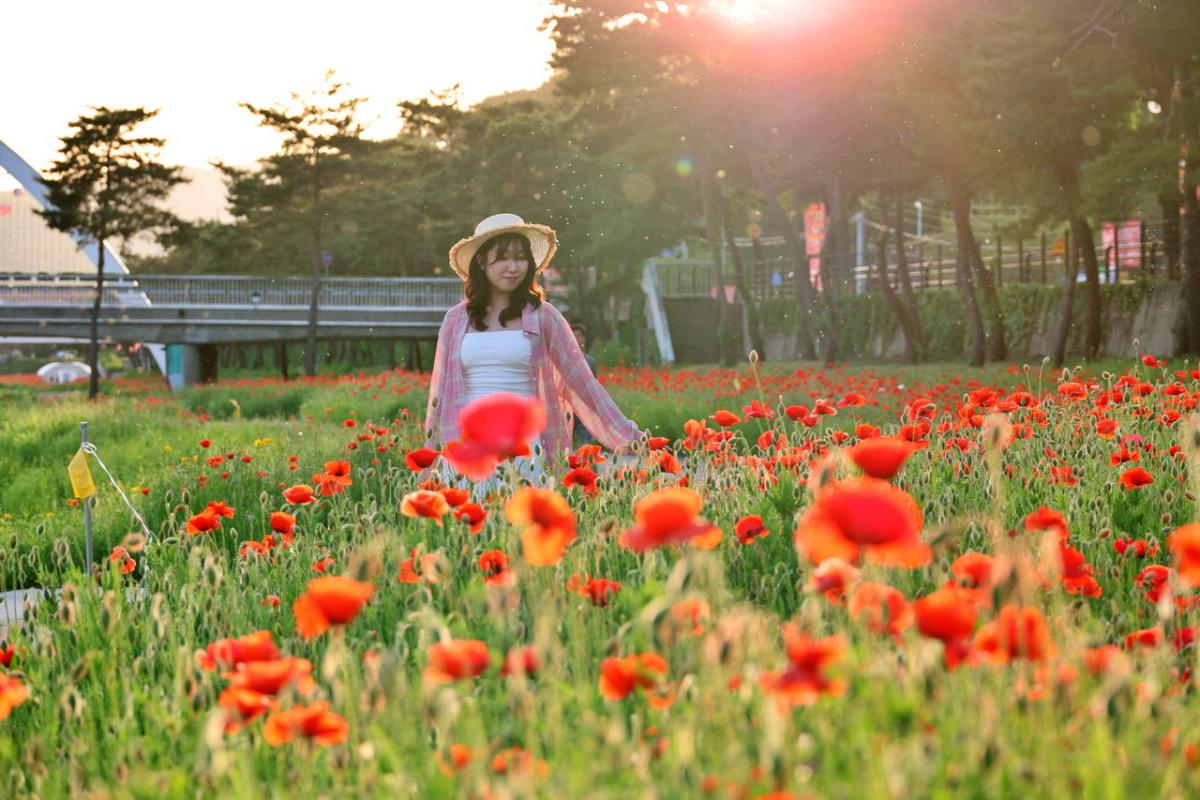 괴산 가볼만한곳 빨간맛페스티벌 5월 23일 개막