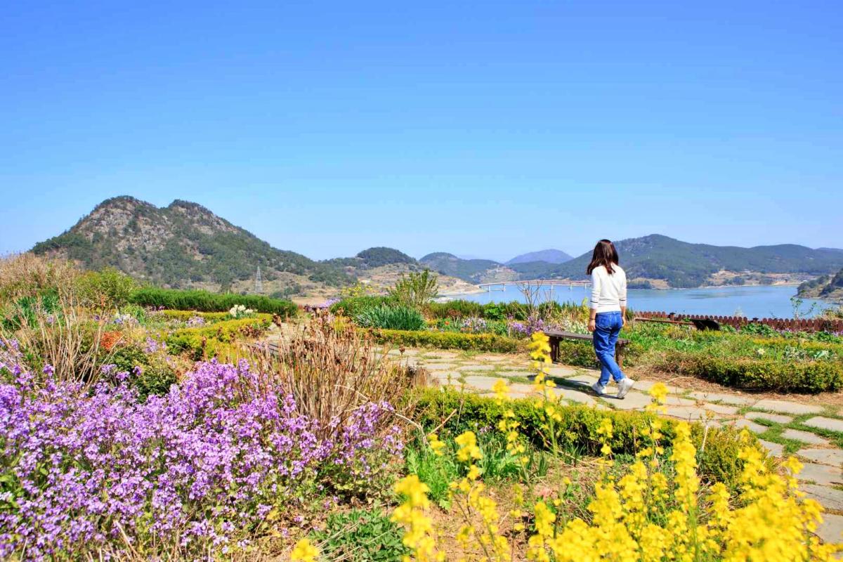 고흥 가볼만한곳 여행지 총정리