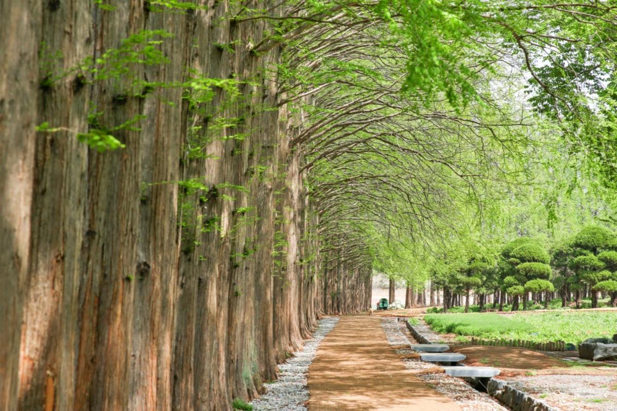 “이 길을 걷는 순간, 마음이 쉬어갑니다”… 익산 아가페정원 5월 산책 명소