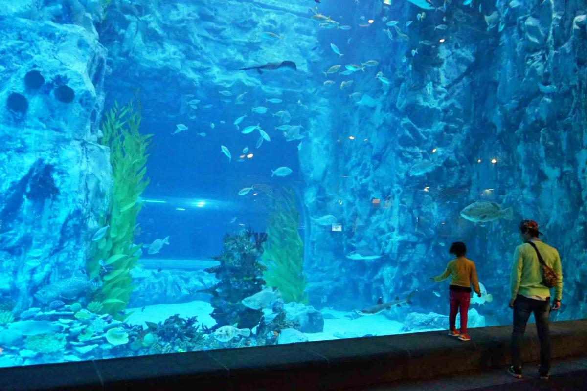잠실 롯데월드 아쿠아리움 인근 가볼만한 곳