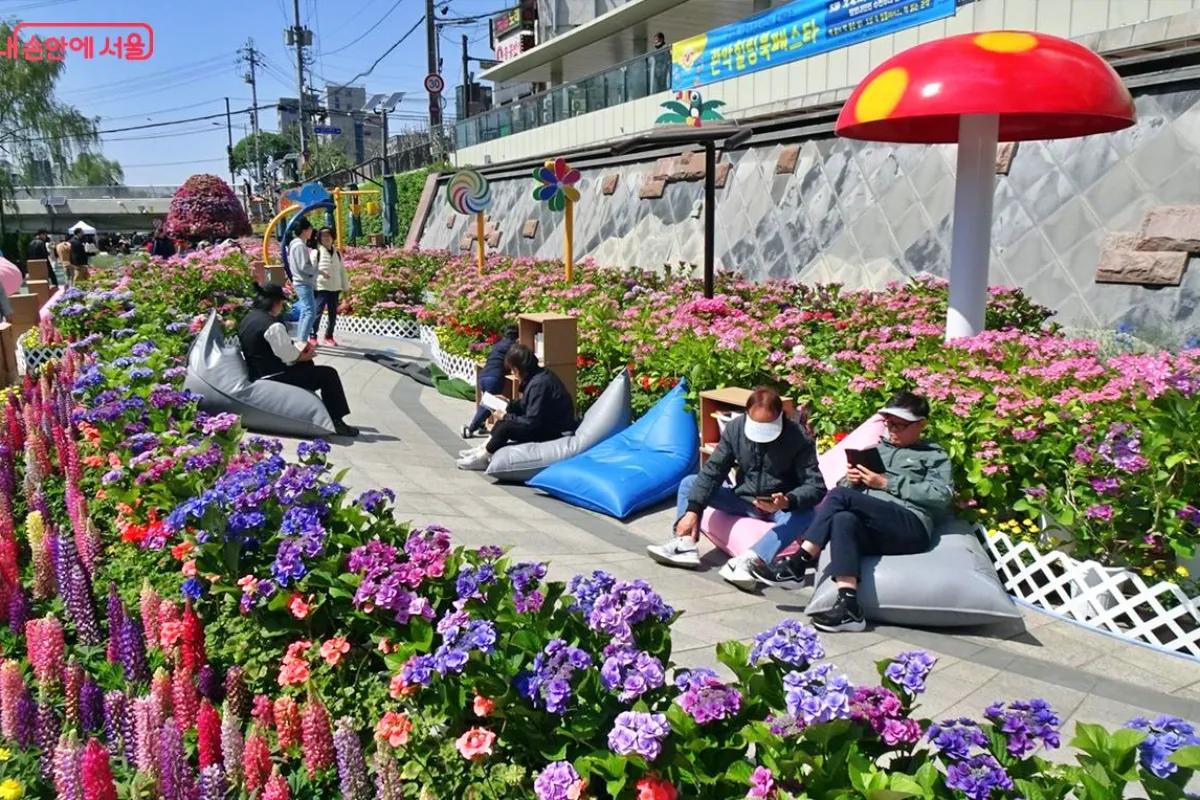 “서울 한복판이 이렇게 예뻤다고?”… 도림천 상류 수국 명소 재발견