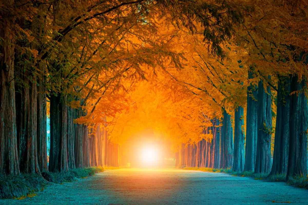 강원도 가볼만한 곳 베스트 10, 자연과 휴양의 명소 총정리