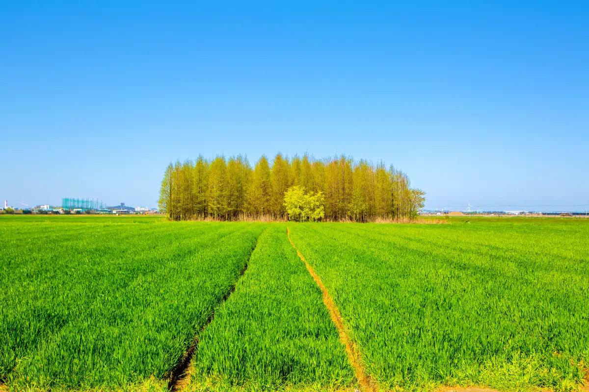 군산 가볼만한 곳 베스트 10, 근대 역사와 감성 여행 총정리