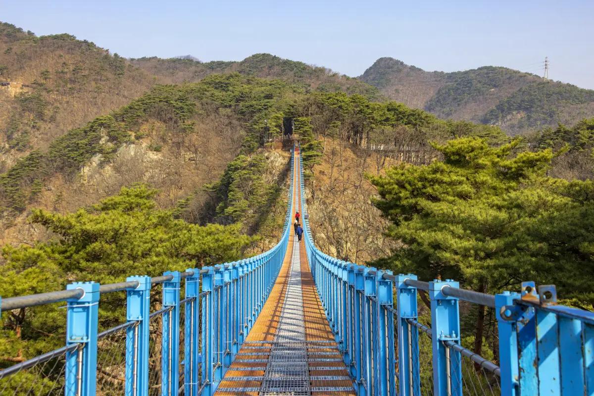원주 가볼만한 곳 베스트 10, 자연과 도심 속 힐링 명소 총정리