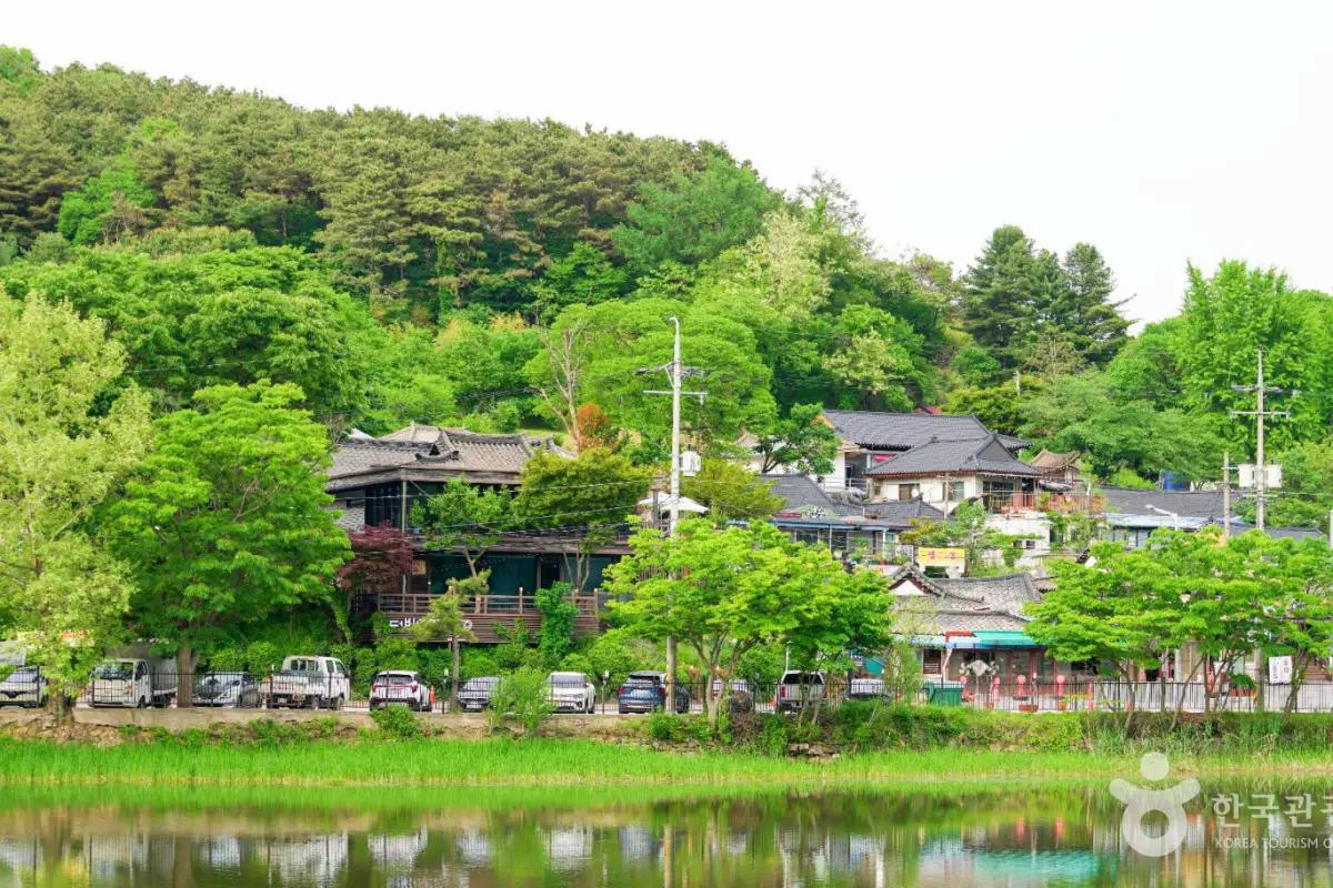 역사와 예술이 숨 쉬는 도시, 청주 가볼만한 곳 베스트 10