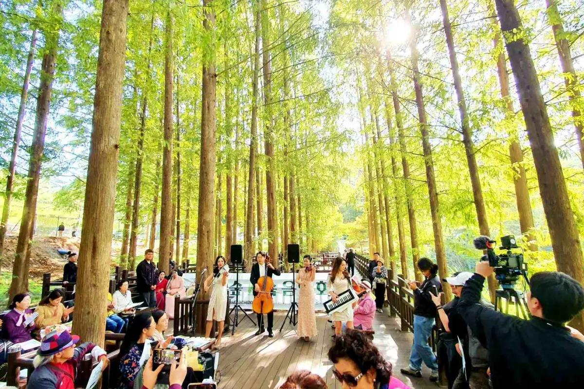 느리게 걷는 즐거움과 역사가 공존하는, 충청도 가볼만한 곳 베스트 10