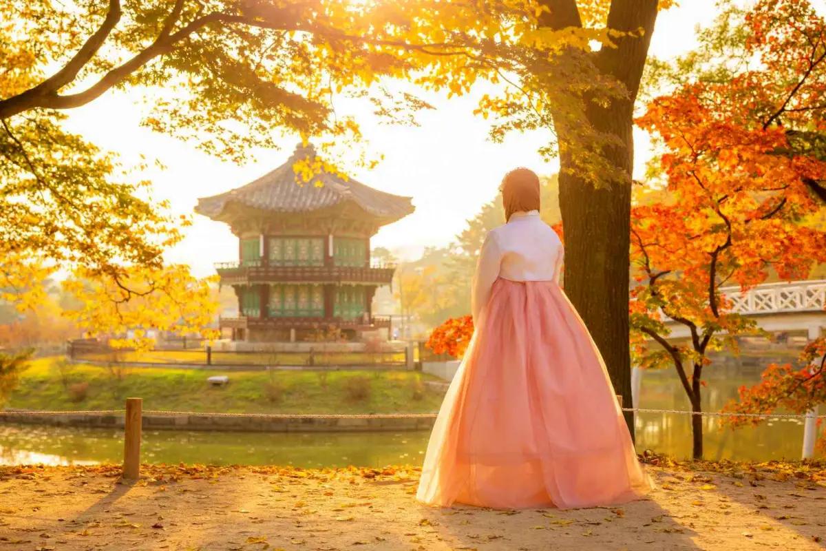 고궁의 역사와 현대의 감성이 공존하는 서울 가볼만한 곳 베스트 10