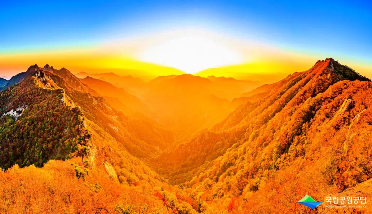 늦가을 단풍 즐기는 충청도 단풍 명소 3곳은 어디?