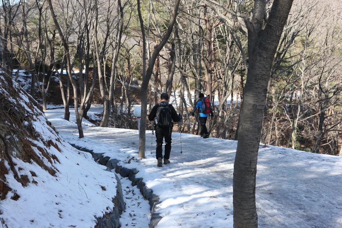 겨울 청양 알프스마을 얼음축제 BEST 5, 눈과 얼음이 만들어낸 환상의 세계로!