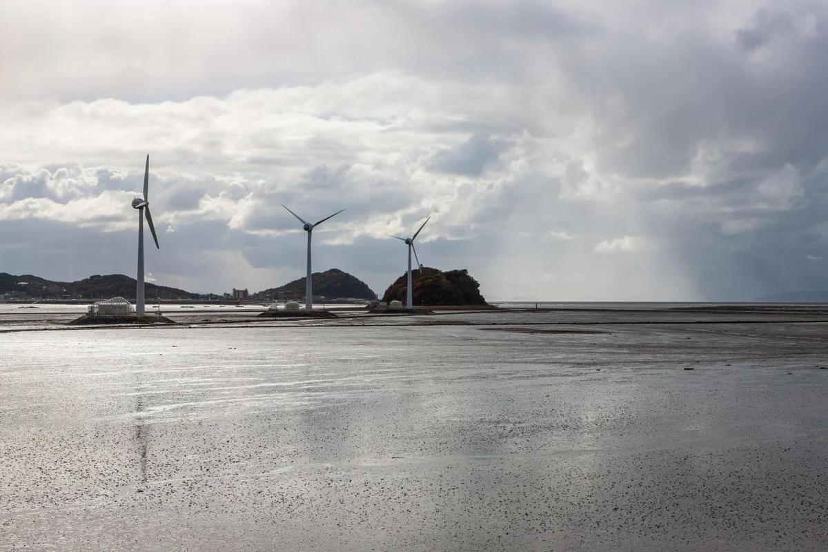 겨울 바다의 낭만, 안산 해수욕장과 대부도 겨울 여행 명소 6곳