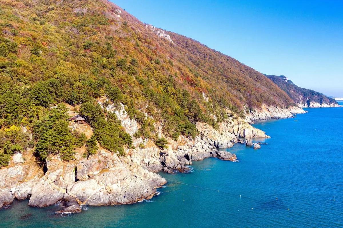 안산 어디가 좋을까? 고잔동 상권과 겨울바다 낭만 BEST 5