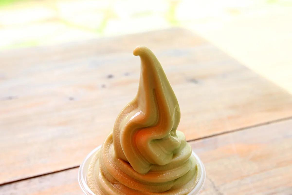 겨울 보성 맛집 어디가 좋을까? 녹차떡갈비와 꼬막정식 BEST 6