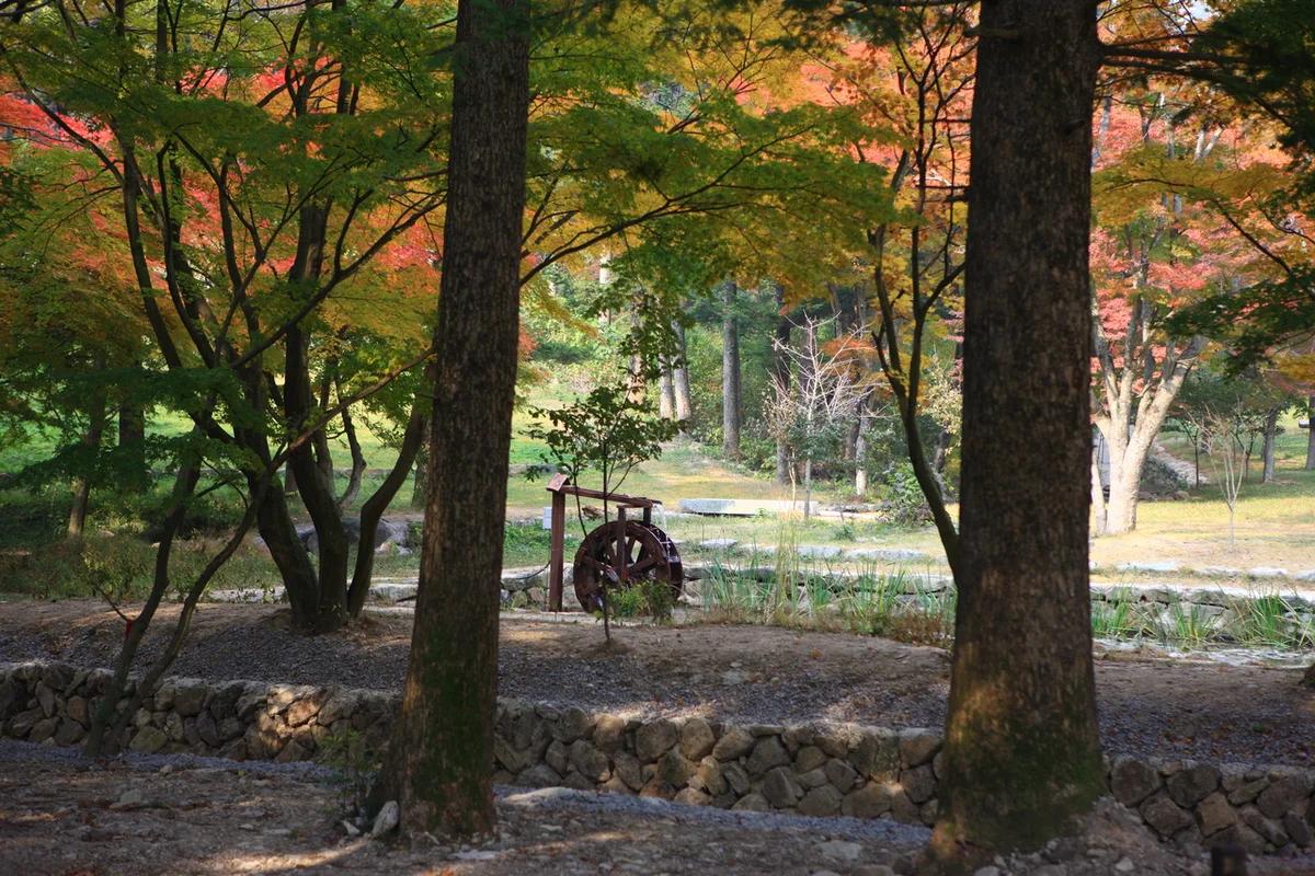 부안 가볼만한 곳 어디가 좋을까? 겨울 낭만 가득한 명소 BEST 6