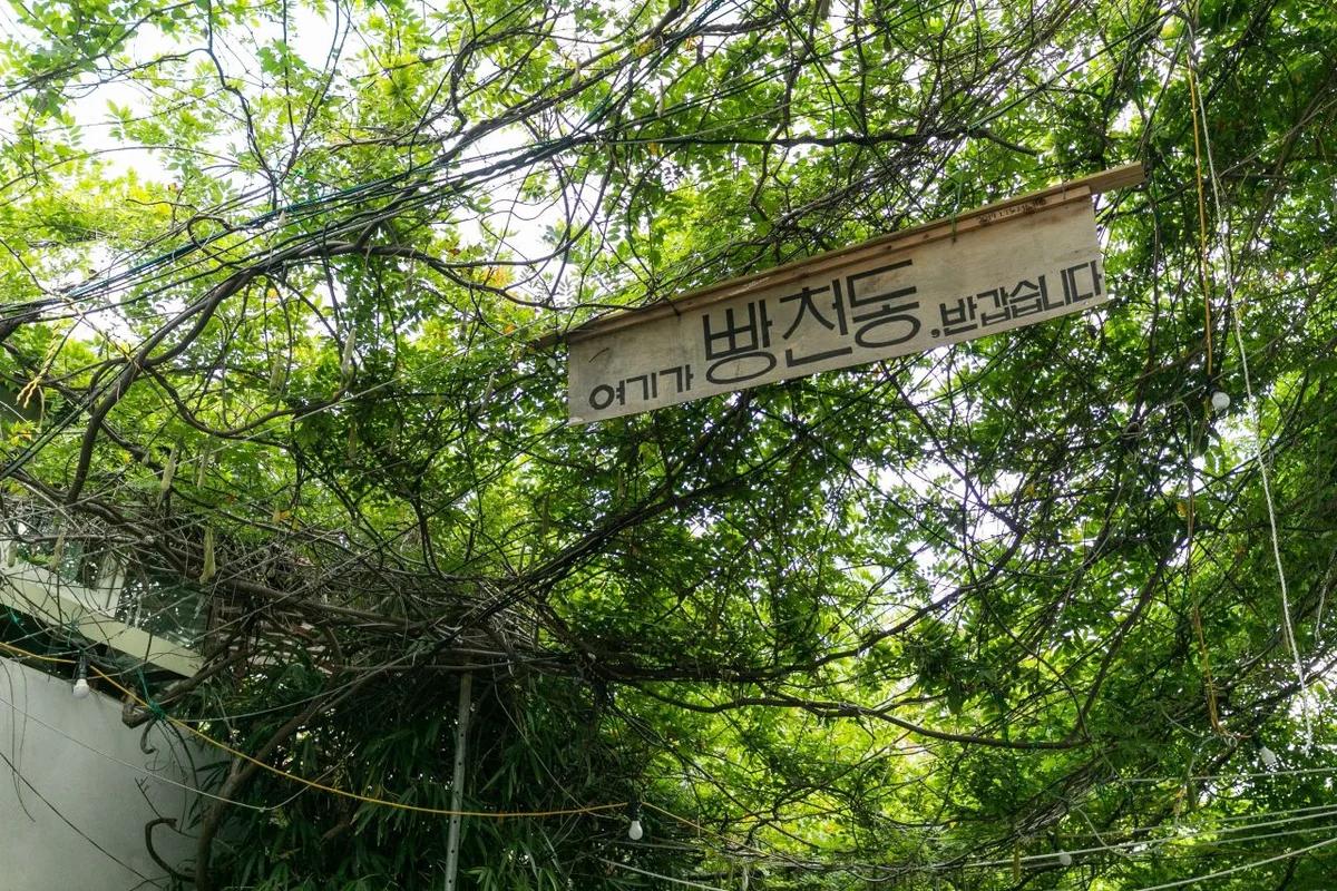 부산 빵집 BEST 5, 겨울 추위 녹이는 따뜻한 빵지순례