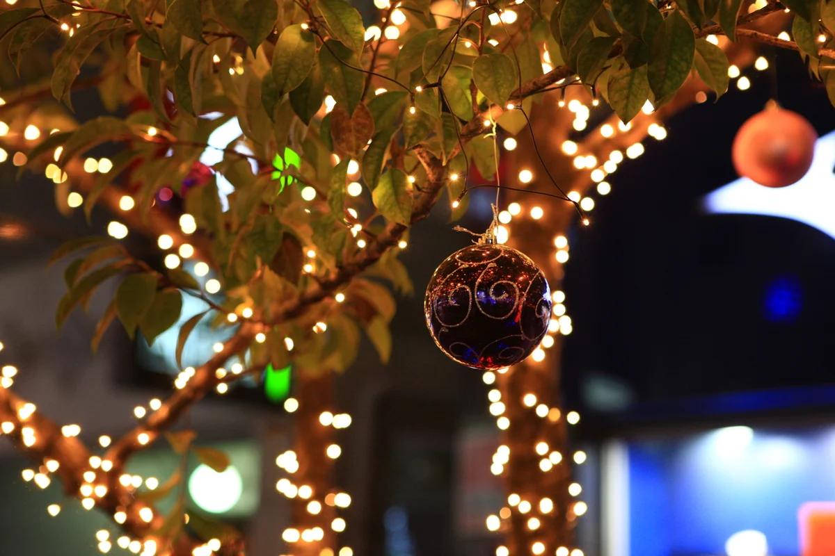 낭만 가득한 겨울, 해운대 & 광안리 부산 크리스마스 여행 명소 5곳