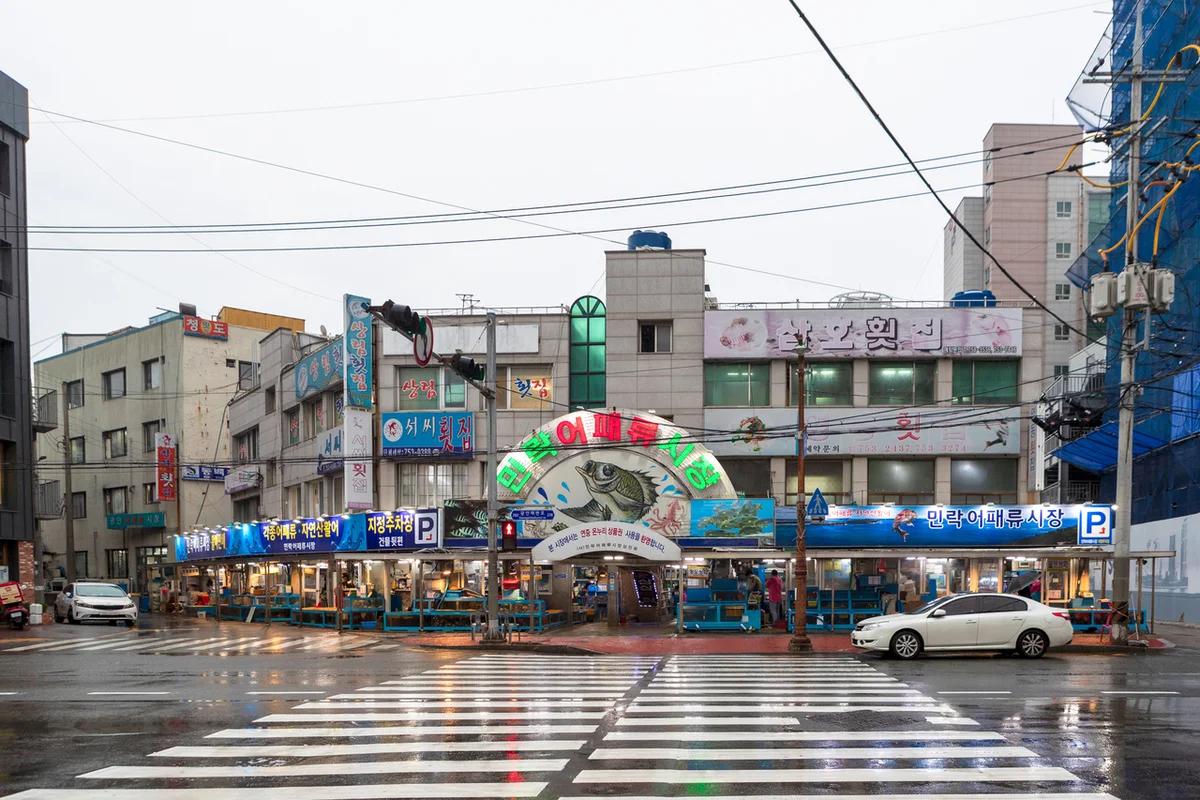 부산 횟집 가성비 BEST 5, 겨울 바다의 신선함을 저렴하게 즐겨보세요