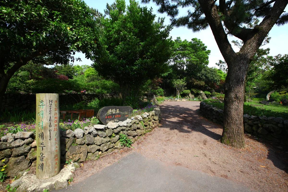 부산 제주 비행기 BEST 3 겨울 여행 특가와 숨겨진 명소