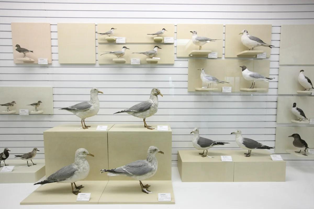 부산 마스코트 BEST 5, 겨울에도 사랑스러운 부산의 얼굴들