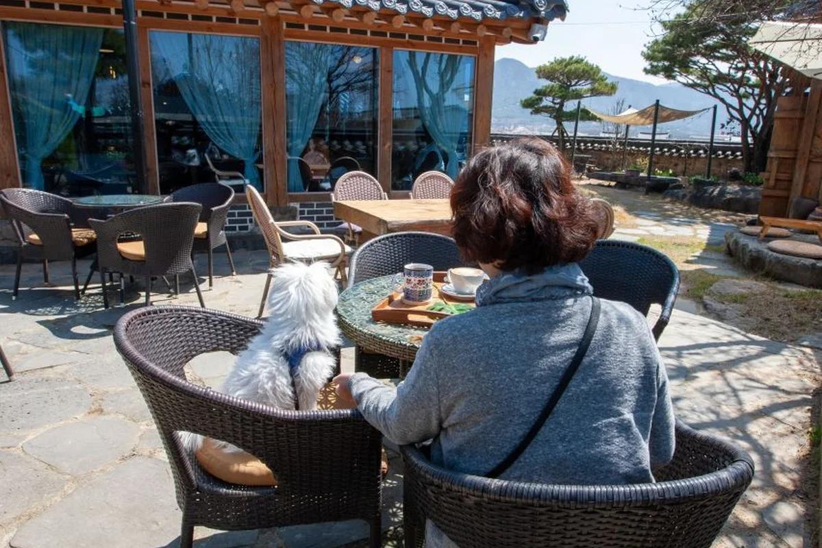 겨울 바다의 낭만, 부산 오션뷰 카페 BEST 6 해운대, 광안리 겨울 데이트 코스