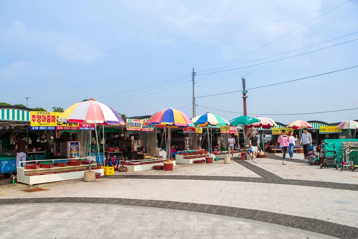 셀러리 제주 BEST 5, 겨울에도 싱그러움을 더하는 제주 샐러리 명소