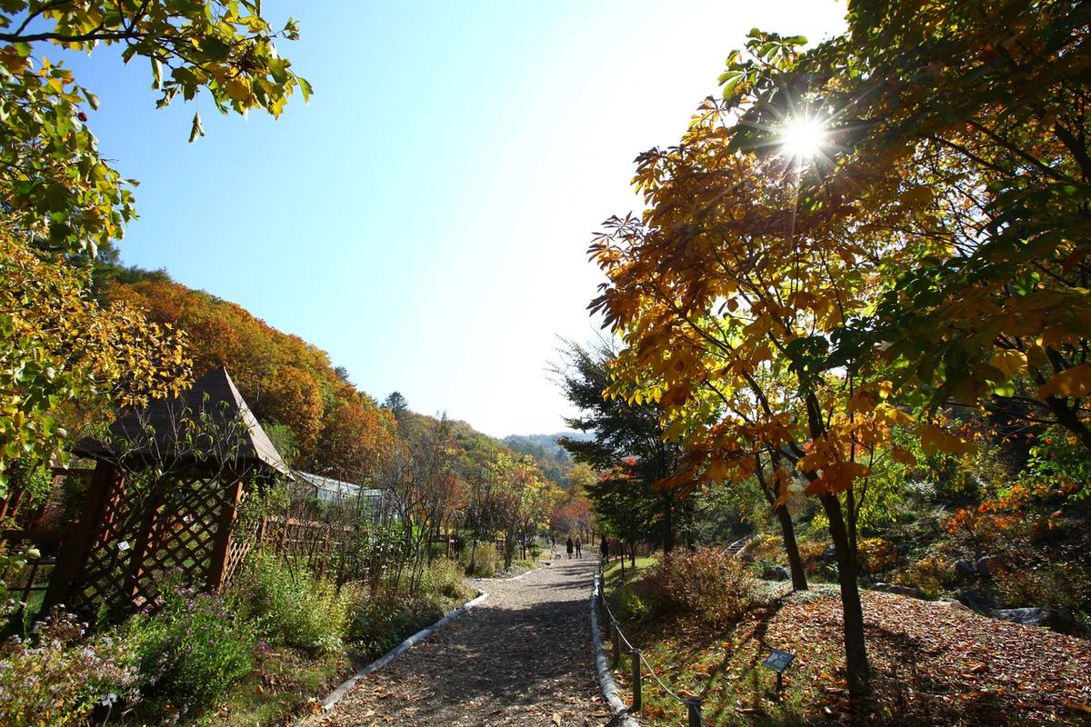 춘천 제이드 가든 어디가 좋을까? 겨울 정취 만끽 BEST 6