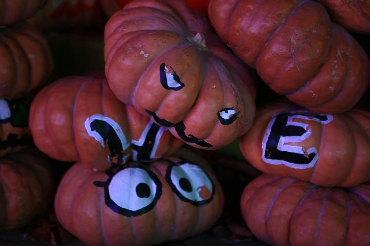 겨울 낭만 가득한 대구 근교 가볼만한 곳 어디가 좋을까? 운문댐 & 청도 프로방스 BEST 6