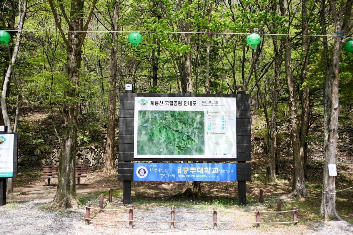 대전 근처 여행지 어디가 좋을까? 겨울 낭만 가득한 계룡산과 하늘물빛정원 BEST 6